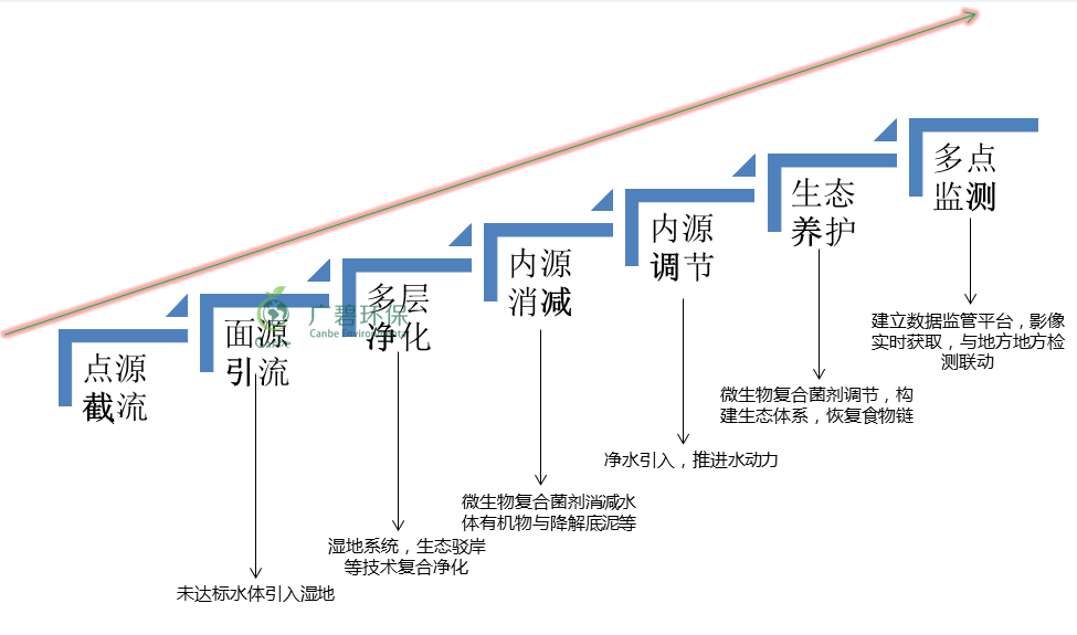 河涌黑臭水体生态修复