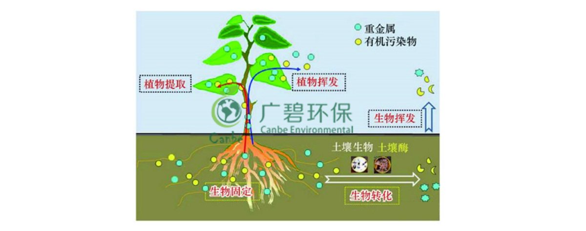 土壤污染防治基础知识