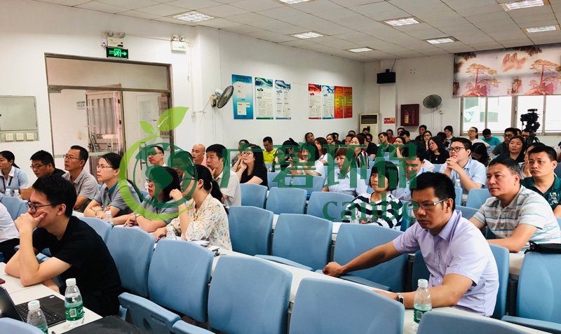 广碧环保参与2019年顺德区容桂华口社区“双达标”整治工作(图4)