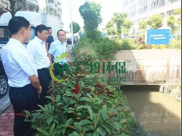 佛山市生态环境局长杨永泰视察高明黑臭水体围拳涌整治工作