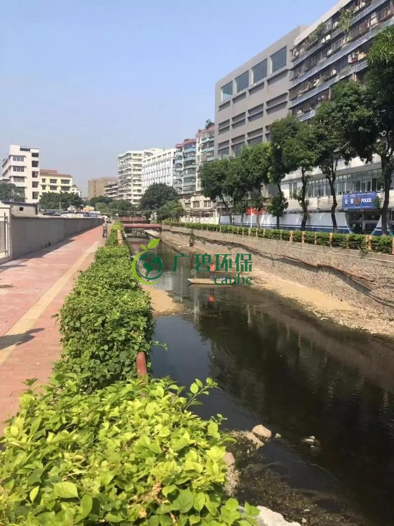 广州白云区棠景沙涌已完成雨污分流