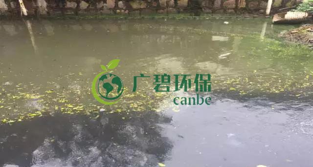佛山南海黑臭河道生物治理案例(图1)