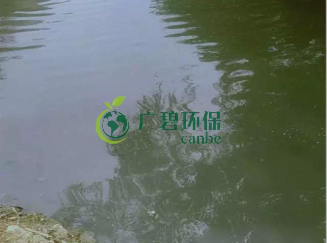 佛山南海黑臭河道生物治理案例(图3)