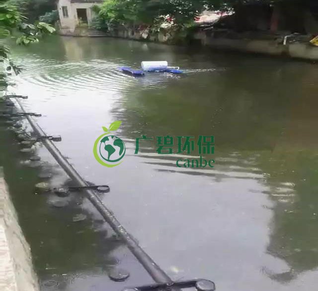 佛山南海黑臭河道生物治理案例