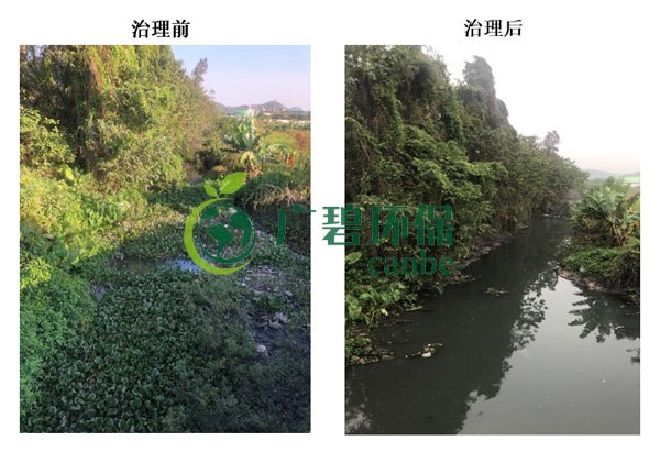 金莎亚洲唯一官网环保金陡涌河涌黑臭水体 治理服务项目顺利通过验收(图7)