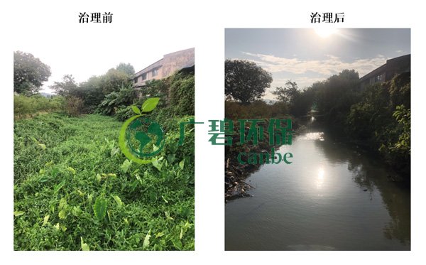 金莎亚洲唯一官网环保金陡涌河涌黑臭水体 治理服务项目顺利通过验收(图8)