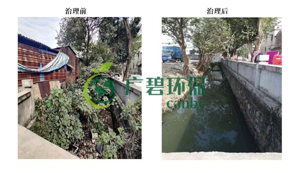 金莎亚洲唯一官网环保金陡涌河涌黑臭水体 治理服务项目顺利通过验收(图1)
