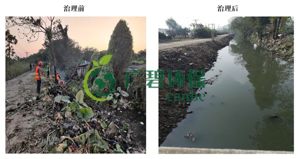 金莎亚洲唯一官网环保金陡涌河涌黑臭水体 治理服务项目顺利通过验收(图2)