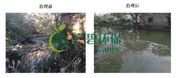 金莎亚洲唯一官网环保金陡涌河涌黑臭水体 治理服务项目顺利通过验收(图3)