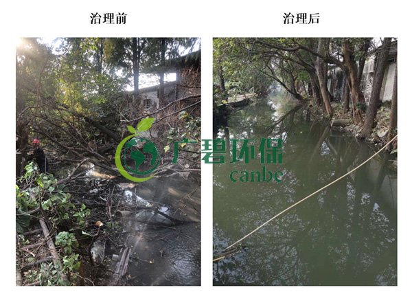 金莎亚洲唯一官网环保金陡涌河涌黑臭水体 治理服务项目顺利通过验收(图4)