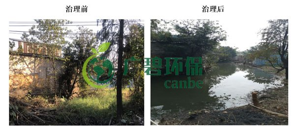 金莎亚洲唯一官网环保金陡涌河涌黑臭水体 治理服务项目顺利通过验收(图5)