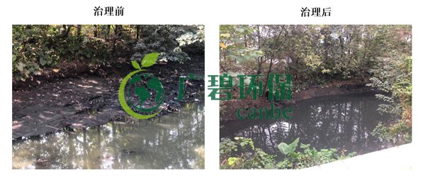 金莎亚洲唯一官网环保金陡涌河涌黑臭水体 治理服务项目顺利通过验收(图6)