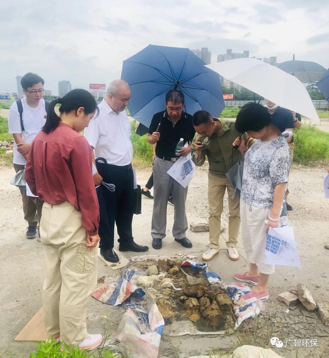 广碧环保于乐从小布村两个地块土壤调查项目顺利通过专家评审会